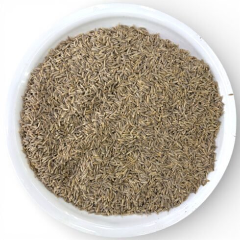 Cumin Seeds (Jeera) Meva Samrat