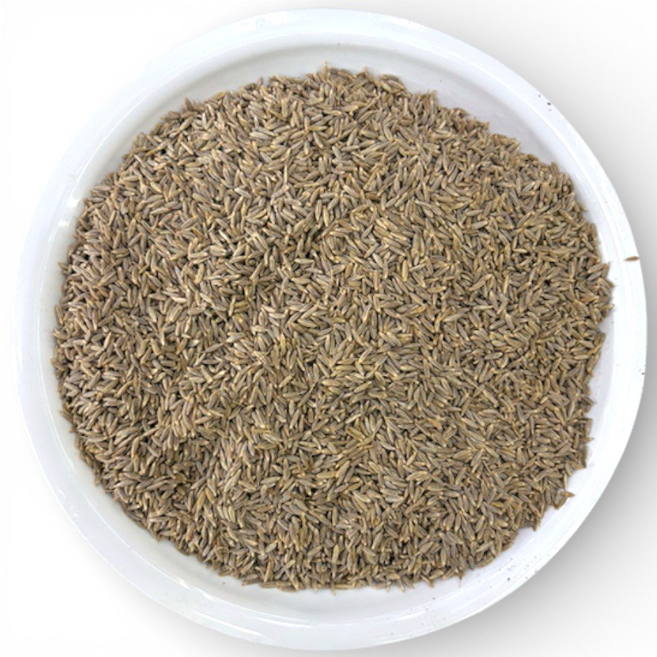 Cumin Seeds (Jeera) Meva Samrat